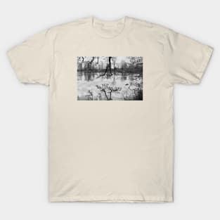 Mirror Lake / Swiss Artwork Photography T-Shirt